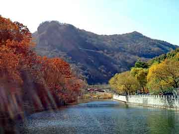 新澳天天开奖资料大全旅游团，久治seo排名